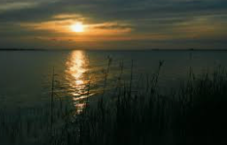 47 Acres East Fork of Double Bayou,  East Chambers County, TX